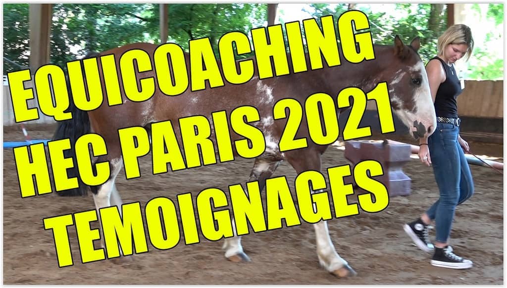 Equicoaching HEC Paris 2021 : témoignages