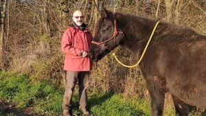 Filou, le cheval de Bernard Lamonnier