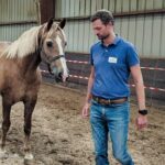 Manager en interaction avec un cheval lors d'une session d'equicoaching pour améliorer la communication et le leadership.