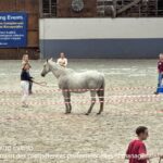 Equicoaching entreprise : dirigeants et managers en interaction avec un cheval pour renforcer leadership et cohésion d’équipe