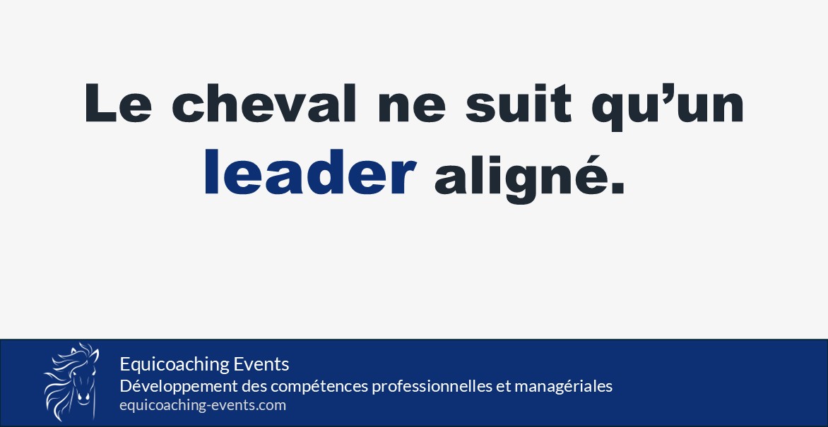 Le cheval révèle l’alignement du leader lors d’une séance d’equicoaching en management.