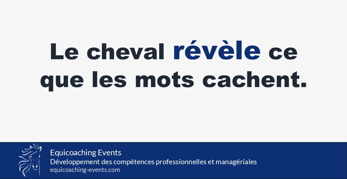 Équicoaching en entreprise : le cheval révèle les décalages de posture et de communication chez le manager