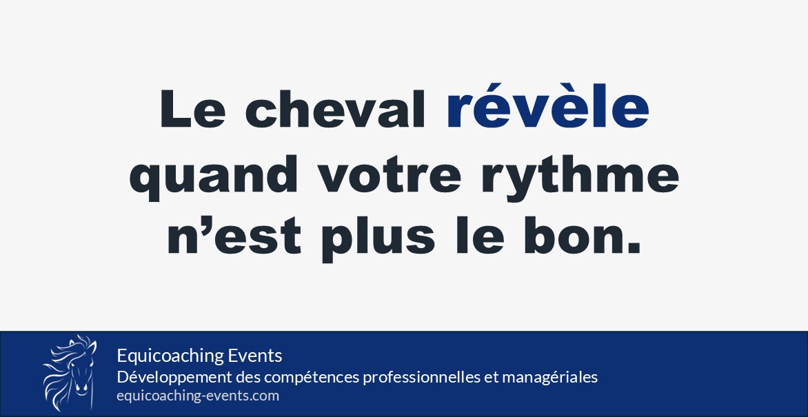 Le cheval révèle le décalage de rythme et la pression excessive en management lors d’un exercice d’equicoaching