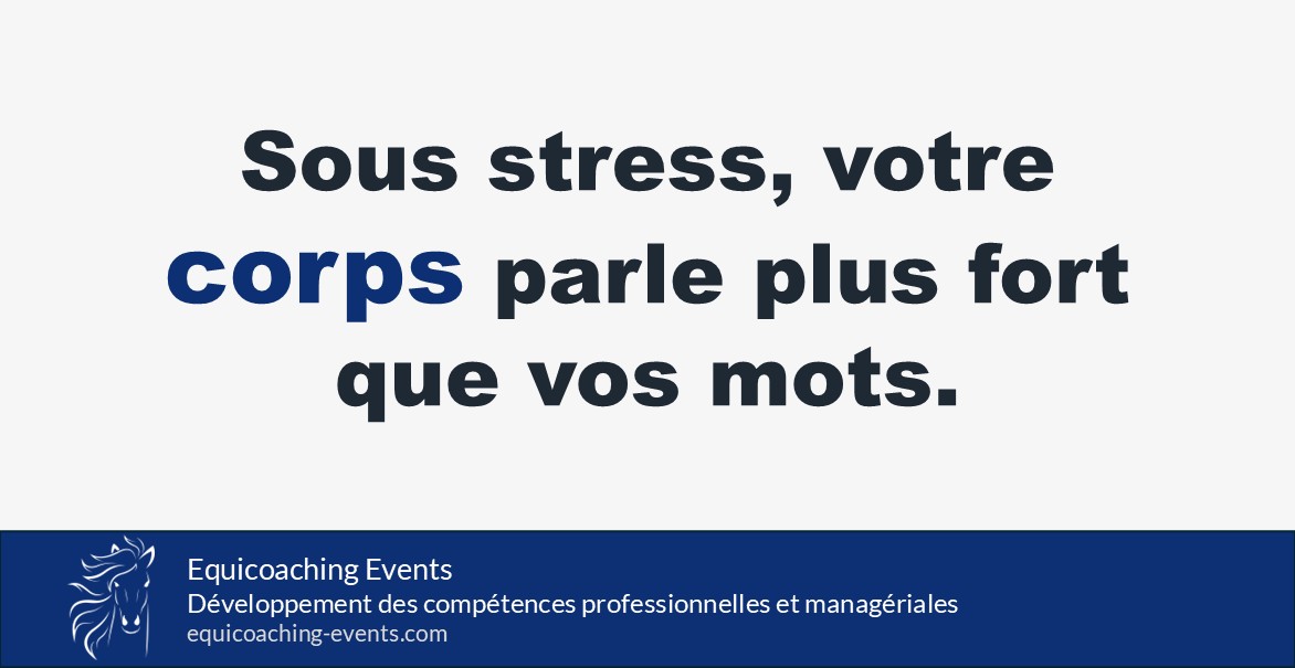 Le cheval révèle les signaux corporels du stress du leader lors d’une séance d’equicoaching.