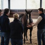 Équipe de managers en exercice d’equicoaching révélant des tensions implicites et des difficultés de communication sous pression.